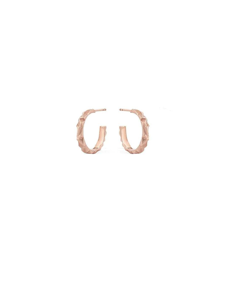 Earrings Bernard James | Mirror Micro Hoop Earrings